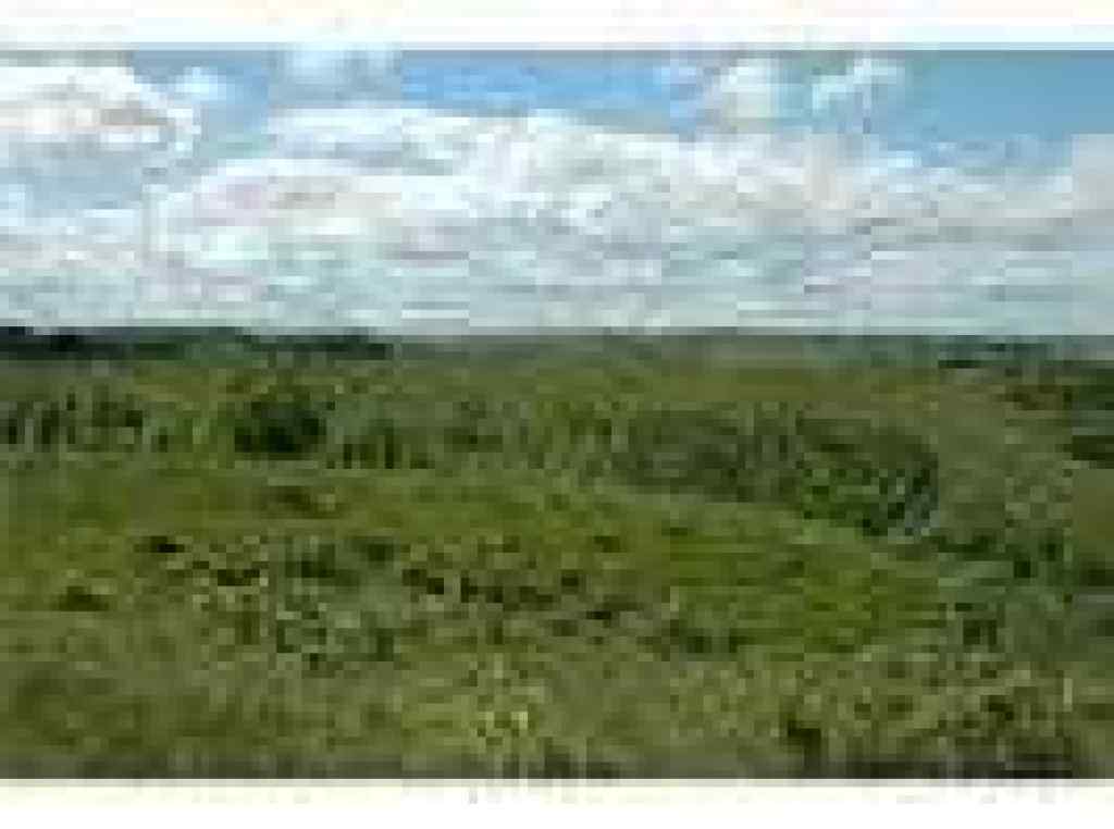 MLS® A2119496 - Unit #W-5,R-3,T-27,S-22, NW,SW W-5,R-3,T-27,S-22, SE Lochend Road NW in NONE Rural Rocky View County, Land