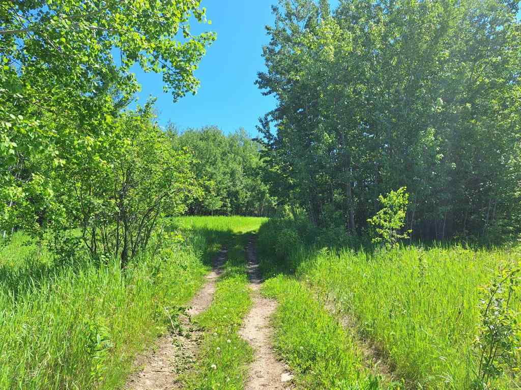 MLS® A2121958 - Twp Rd 665A Range Road 153   in NONE Rural Lac La Biche County, Land