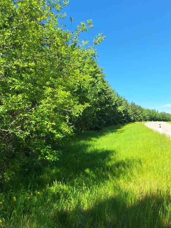MLS® A2121958 - Twp Rd 665A Range Road 153   in NONE Rural Lac La Biche County, Land