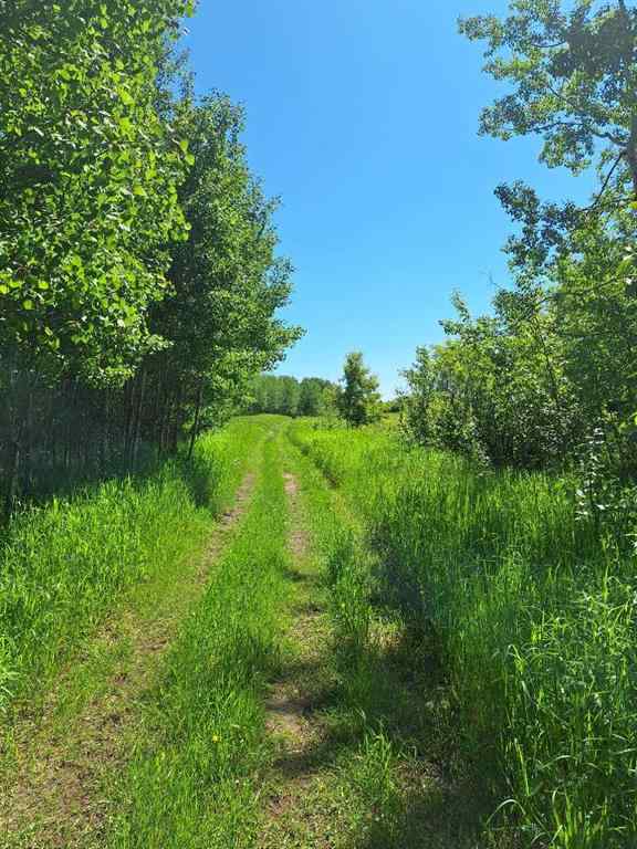 MLS® A2121958 - Twp Rd 665A Range Road 153   in NONE Rural Lac La Biche County, Land