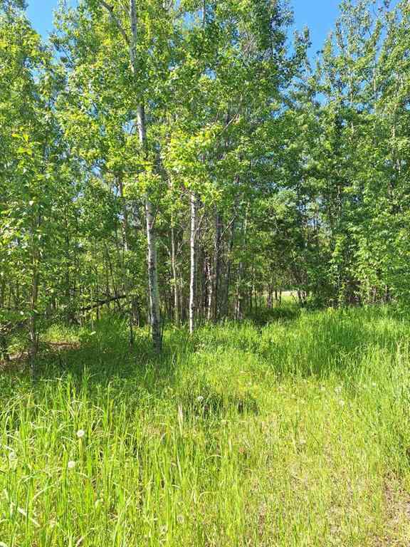 MLS® A2121958 - Twp Rd 665A Range Road 153   in NONE Rural Lac La Biche County, Land