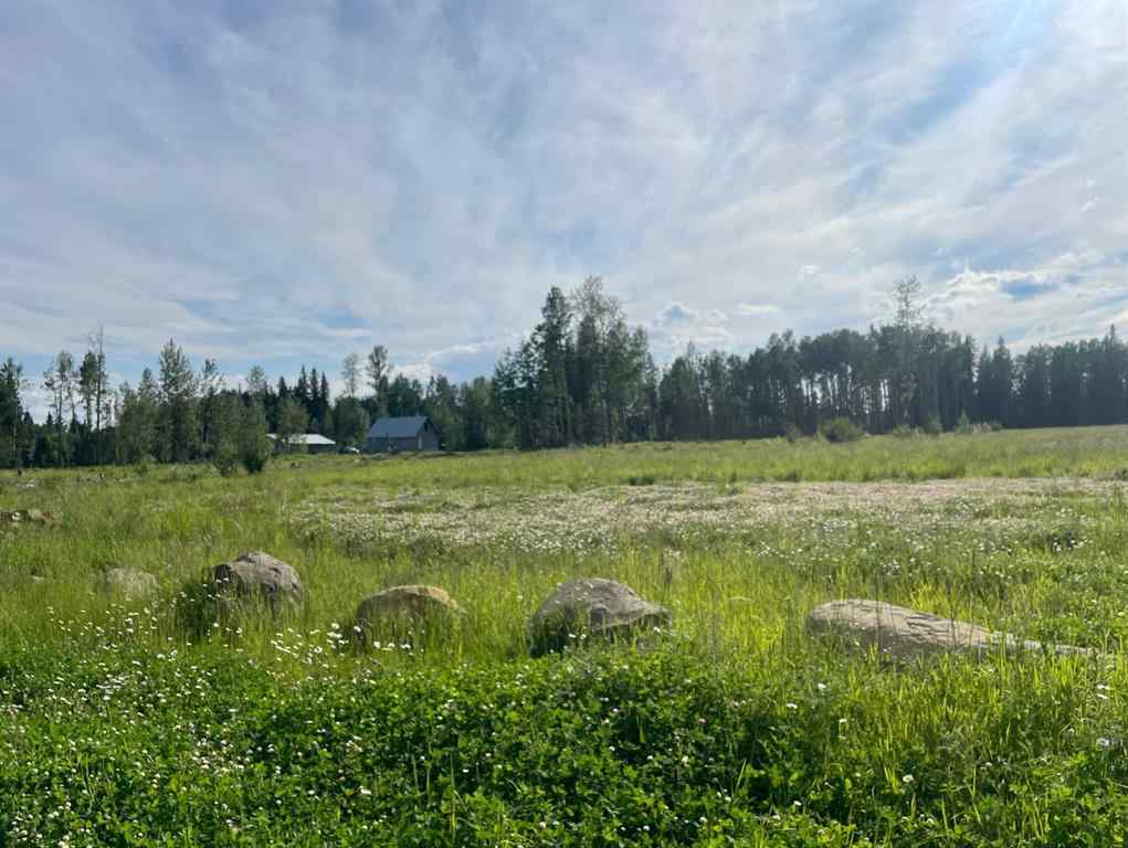 MLS® A2124317 - 6432 17 Avenue   in Edson Edson, Residential