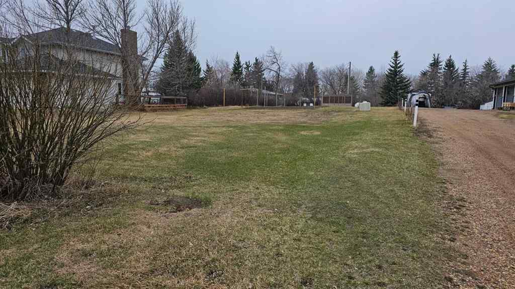 MLS® A2124933 - 5406 50 Street  in NONE Castor, Land