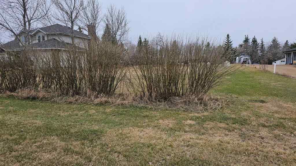 MLS® A2124933 - 5406 50 Street  in NONE Castor, Land