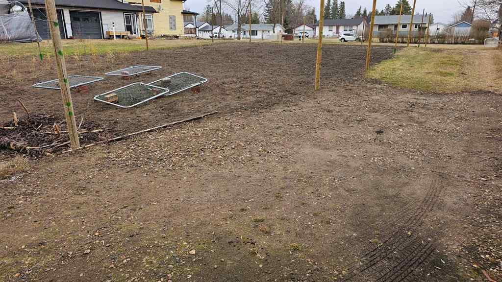 MLS® A2124933 - 5406 50 Street  in NONE Castor, Land
