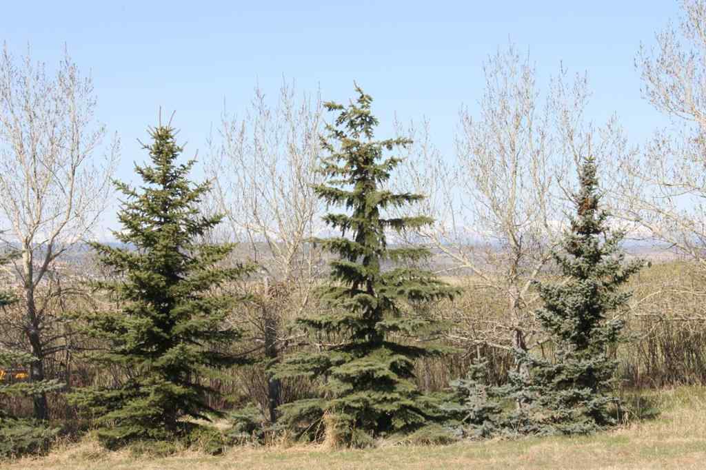 MLS® A2126705 - 255073 Glenbow Road  in NONE Rural Rocky View County, Land