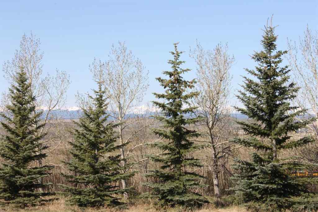 MLS® A2126705 - 255073 Glenbow Road  in NONE Rural Rocky View County, Land