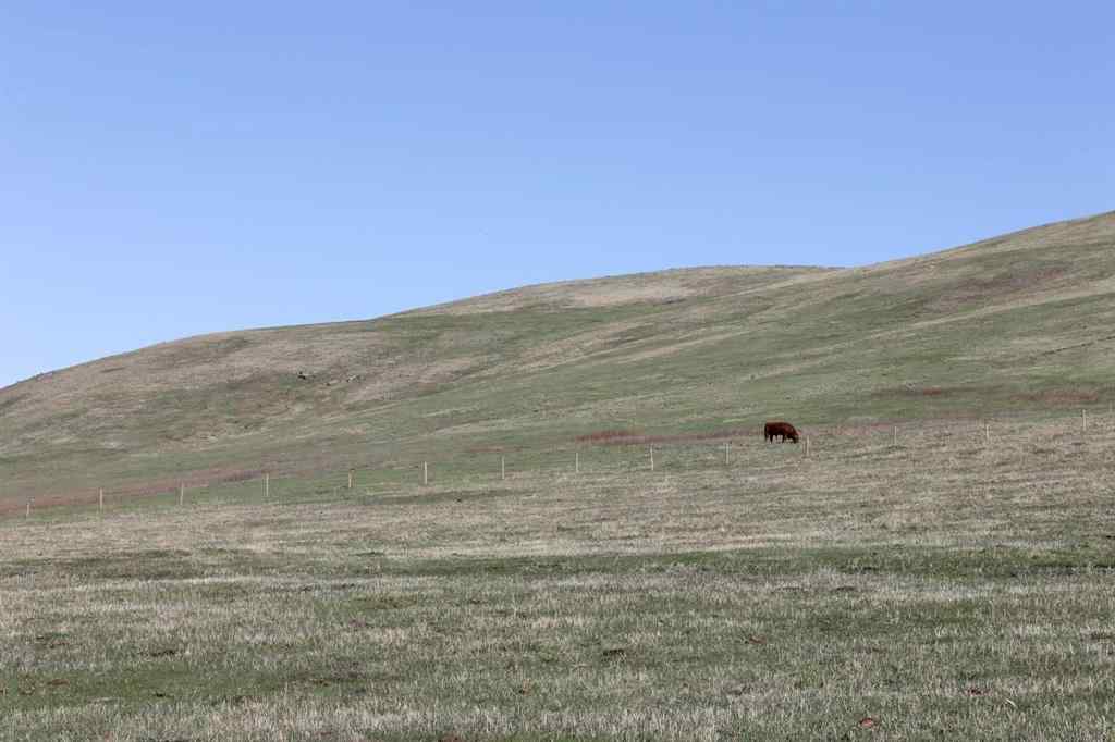 MLS® A2126705 - 255073 Glenbow Road  in NONE Rural Rocky View County, Land