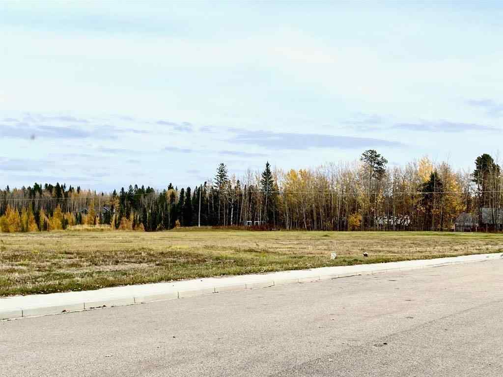 MLS® A2126991 - 4208 52A Avenue  in NONE Rocky Mountain House, Land