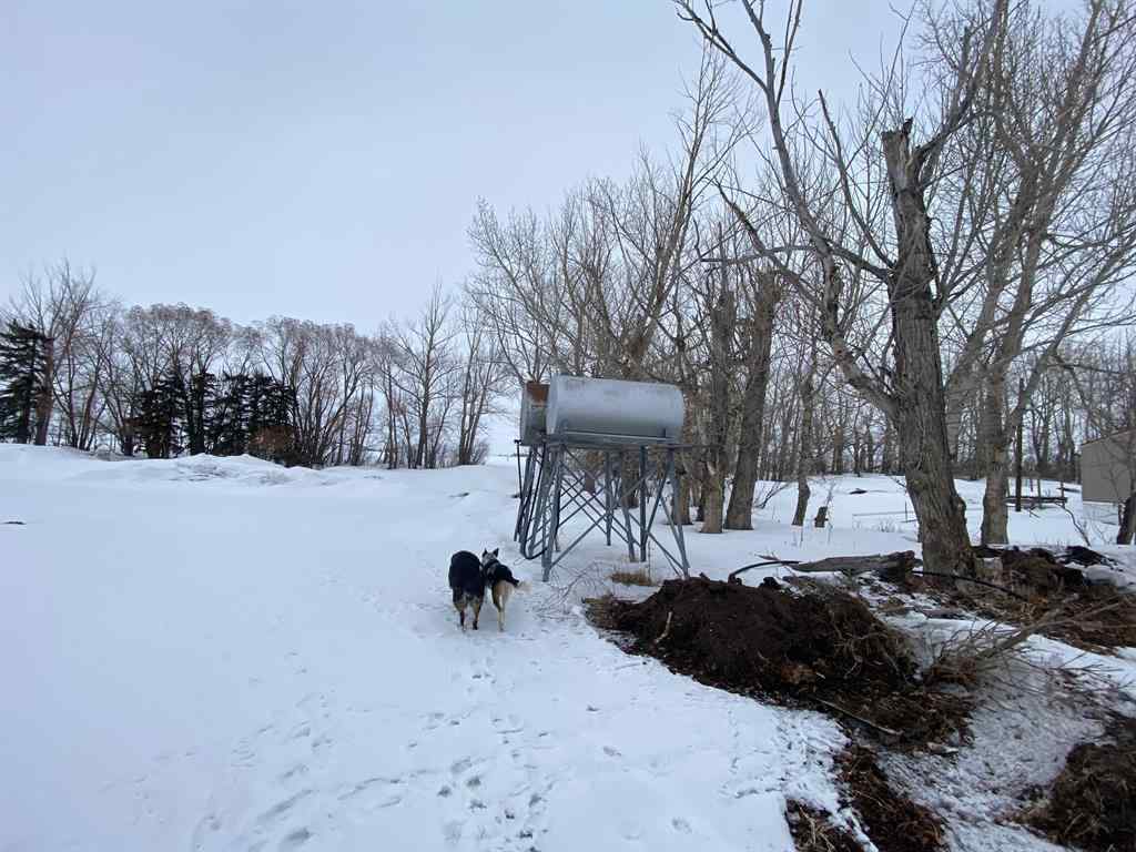 MLS® A2130487 - 35532 Range Road 141 Range  in NONE Rural Paintearth No. 18, County of, Agri-Business