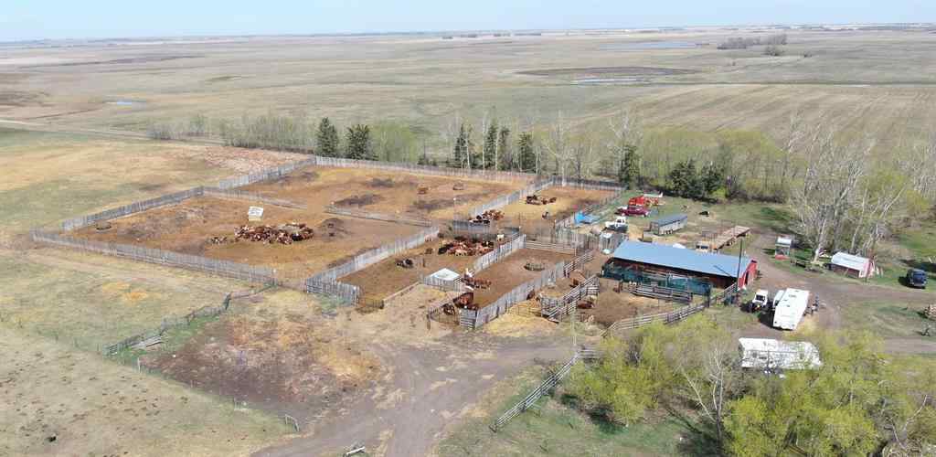 MLS® A2130487 - 35532 Range Road 141 Range  in NONE Rural Paintearth No. 18, County of, Agri-Business