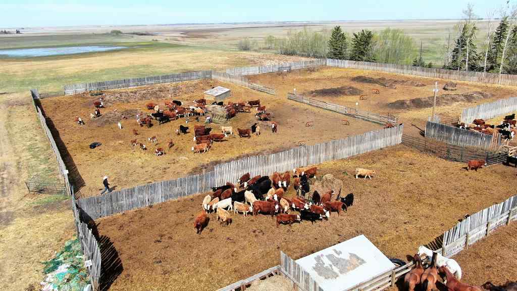 MLS® A2130487 - 35532 Range Road 141 Range  in NONE Rural Paintearth No. 18, County of, Agri-Business