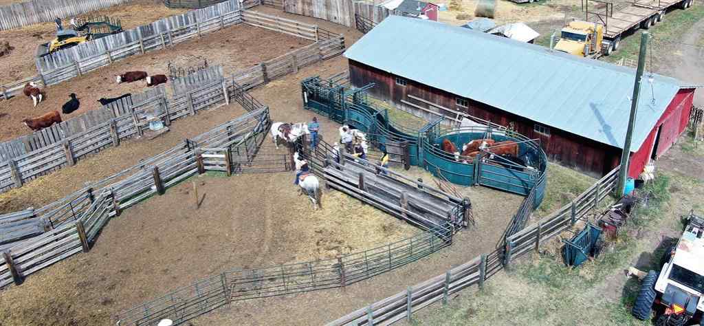 MLS® A2130487 - 35532 Range Road 141 Range  in NONE Rural Paintearth No. 18, County of, Agri-Business