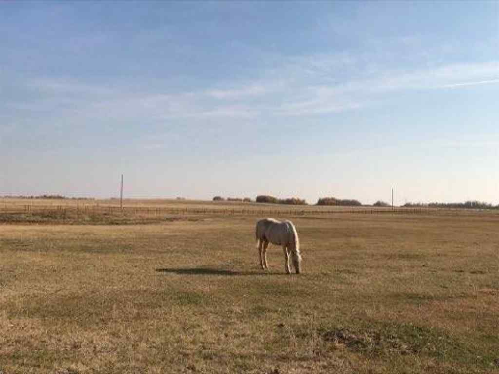 MLS® A2130487 - 35532 Range Road 141 Range  in NONE Rural Paintearth No. 18, County of, Agri-Business