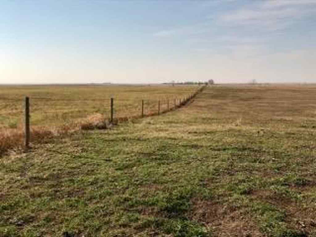 MLS® A2130487 - 35532 Range Road 141 Range  in NONE Rural Paintearth No. 18, County of, Agri-Business
