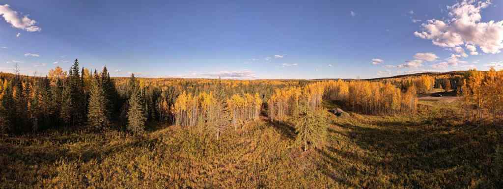 MLS® A2132255 - Lot 5 114046 Township 590   in NONE Rural Woodlands County, Land