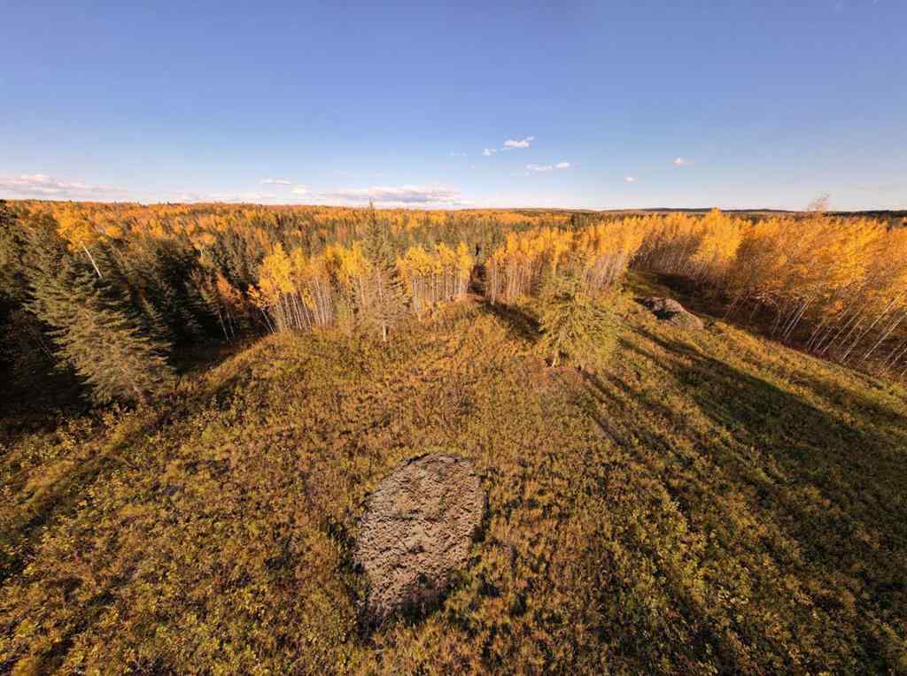 MLS® A2132255 - Lot 5 114046 Township 590   in NONE Rural Woodlands County, Land