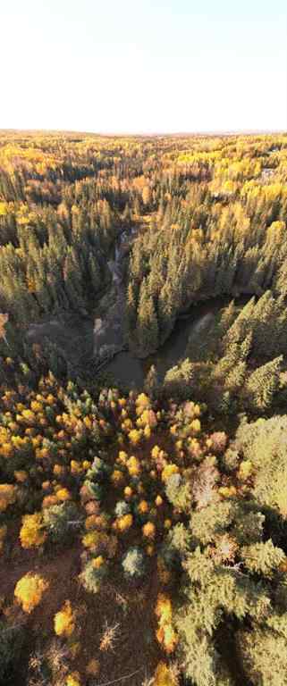 MLS® A2132255 - Lot 5 114046 Township 590   in NONE Rural Woodlands County, Land