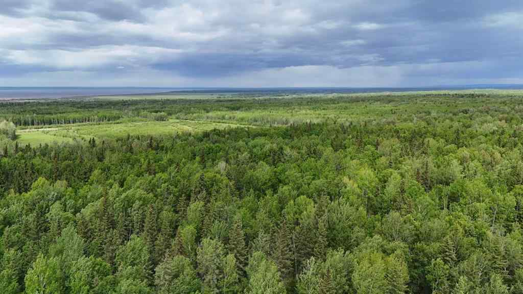 MLS® A2134055 - 5;11;73;2;SE Range Rd 112   in NONE Faust, Land