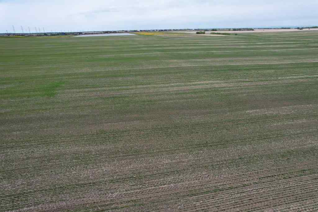 MLS® A2135679 -  On TWP RD 252   in NONE Rural Rocky View County, Land