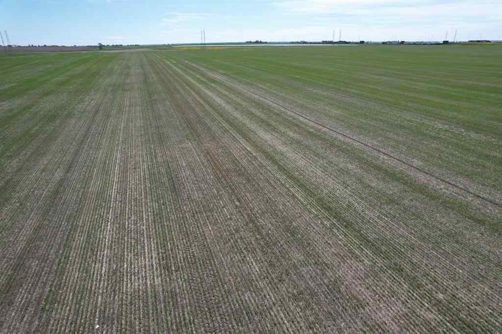 MLS® A2135679 -  On TWP RD 252   in NONE Rural Rocky View County, Land