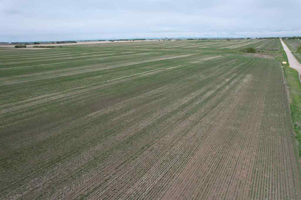 MLS® A2135679 -  On TWP RD 252   in NONE Rural Rocky View County, Land