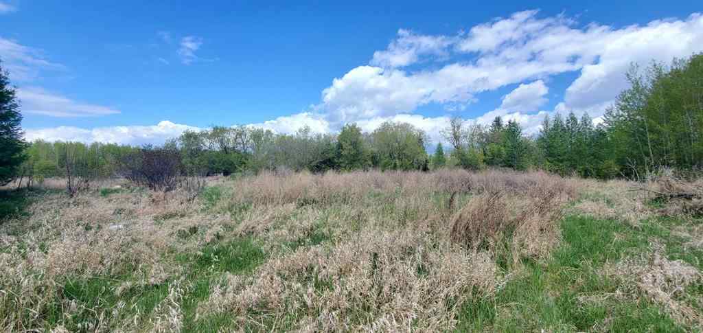 MLS® A2136198 - Unit #8342 100 Street   in NONE Lac La Biche, Land