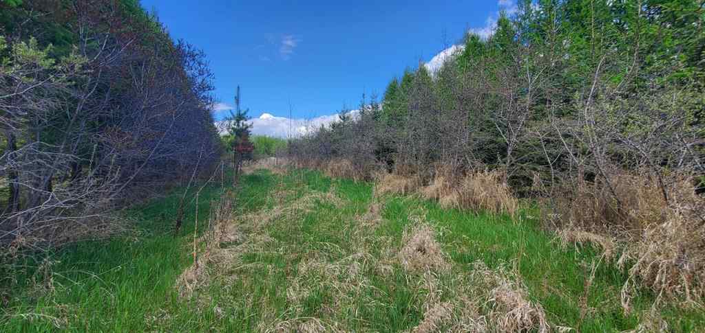 MLS® A2136198 - Unit #8342 100 Street   in NONE Lac La Biche, Land