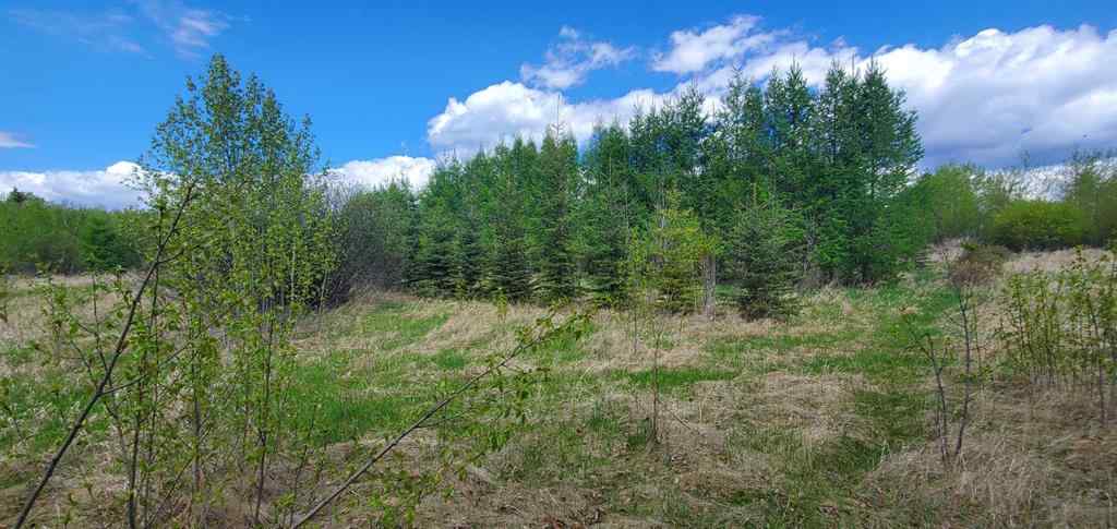 MLS® A2136198 - Unit #8342 100 Street   in NONE Lac La Biche, Land
