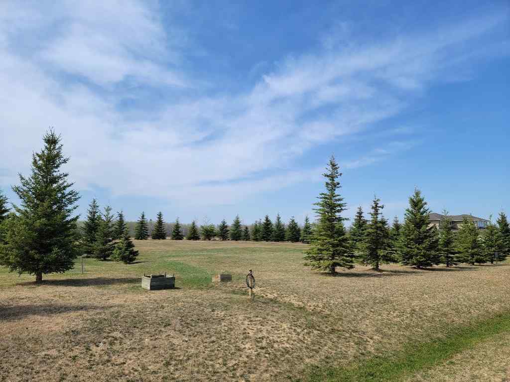 MLS® A2137324 - Lot 4 Tower Road  in Athabasca Town Athabasca, Land