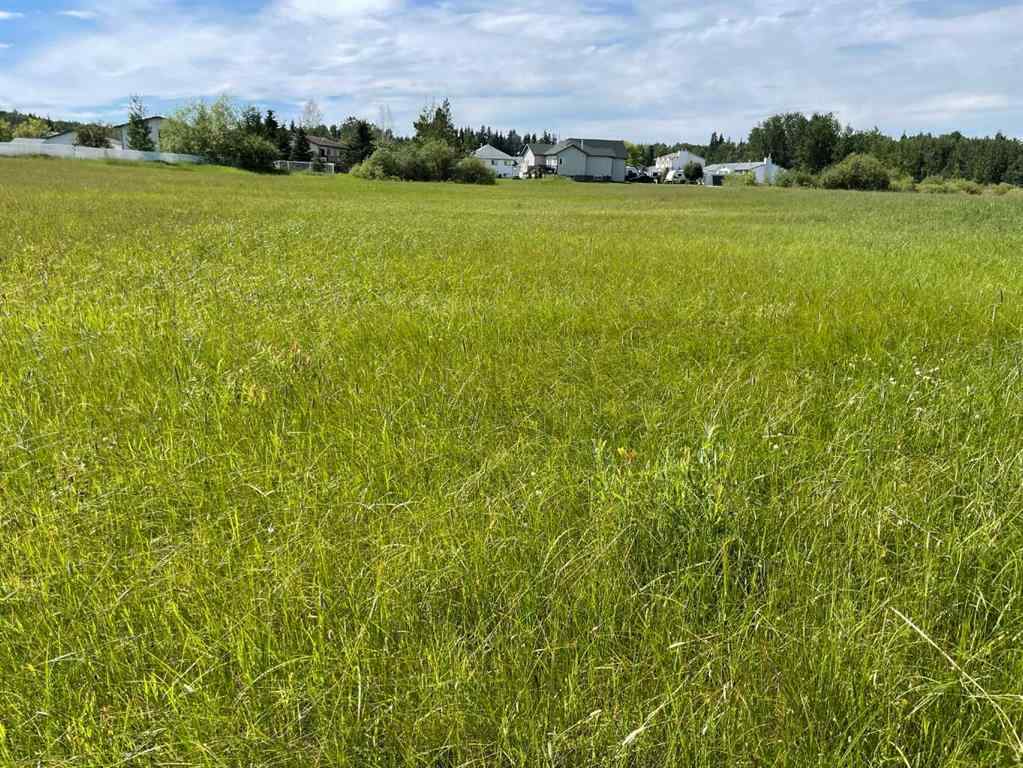 MLS® A2138513 - 5002 50 St   in NONE Rural Brazeau County, Land