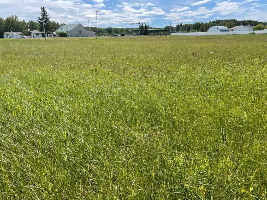 MLS® A2138513 - 5002 50 St   in NONE Rural Brazeau County, Land