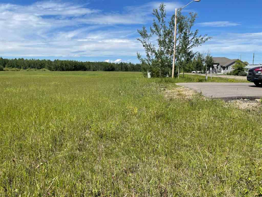 MLS® A2138513 - 5002 50 St   in NONE Rural Brazeau County, Land