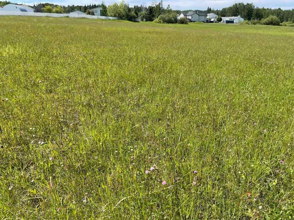 MLS® A2138513 - 5002 50 St   in NONE Rural Brazeau County, Land