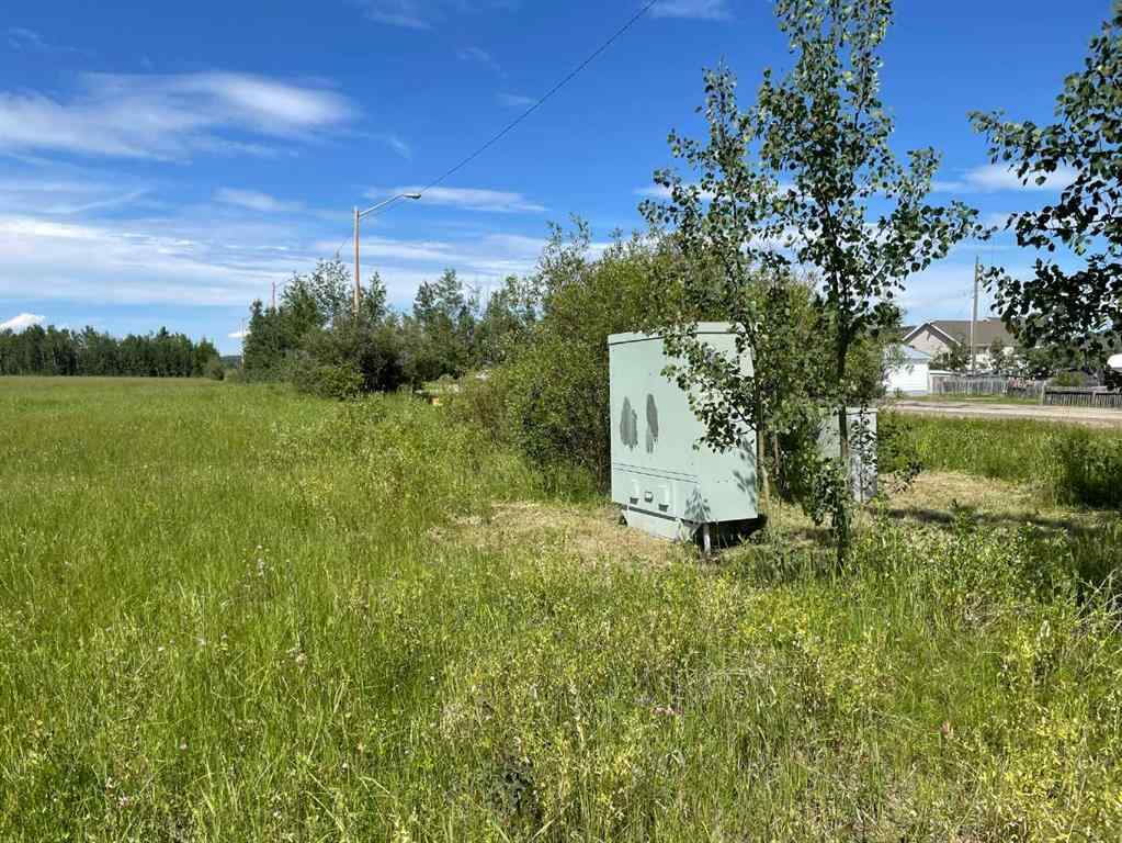 MLS® A2138513 - 5002 50 St   in NONE Rural Brazeau County, Land