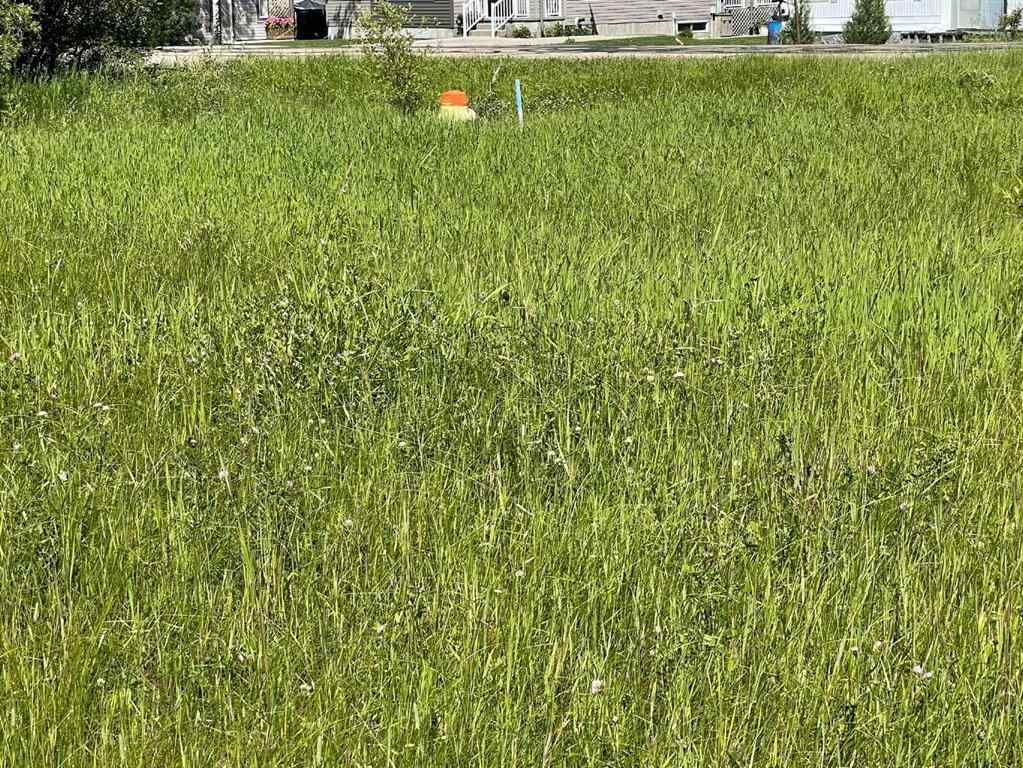 MLS® A2138513 - 5002 50 St   in NONE Rural Brazeau County, Land