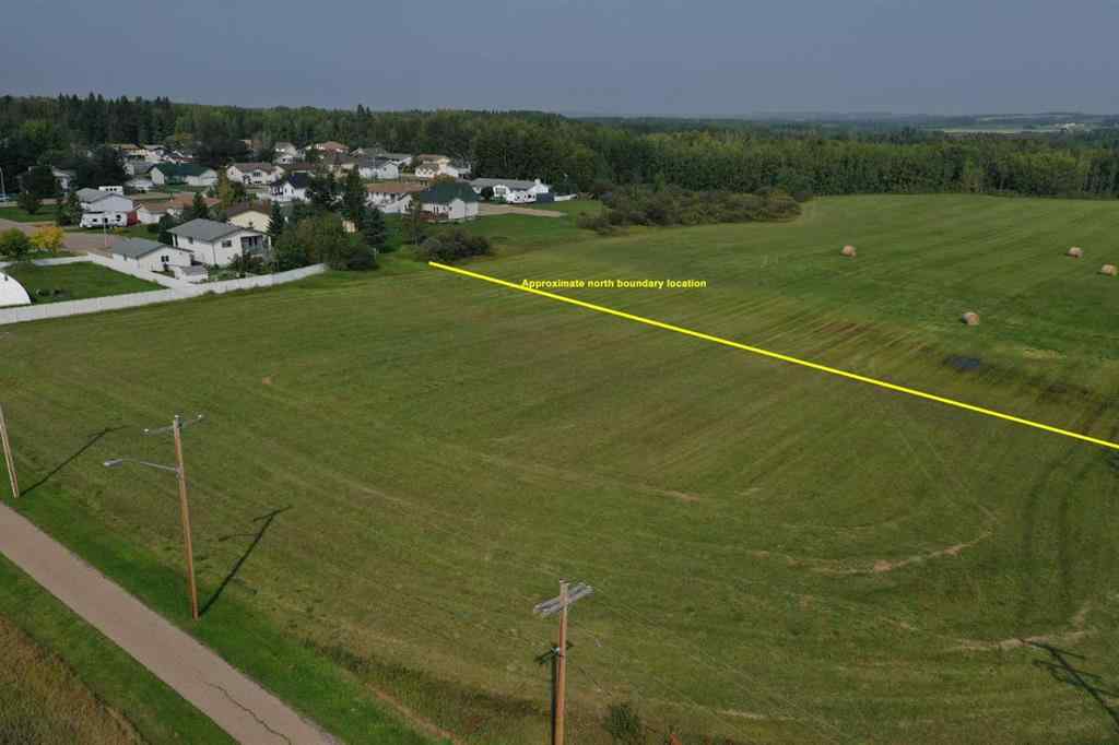 MLS® A2138513 - 5002 50 St   in NONE Rural Brazeau County, Land