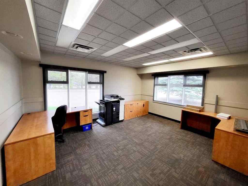 MLS® A2138557 - 4510 50 Street S in Sedgewick Sedgewick, Commercial