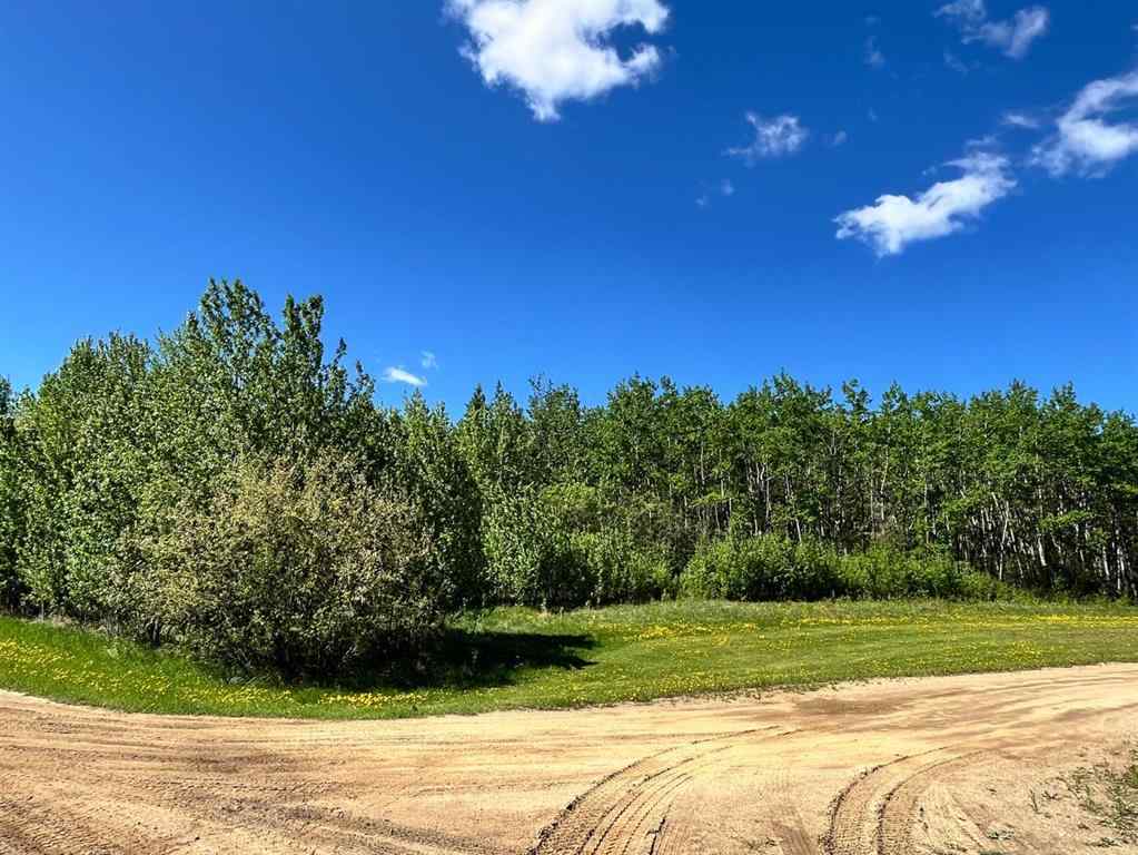 MLS® A2138860 - Lot 4 163 Range Road  in NONE Plamondon, Land