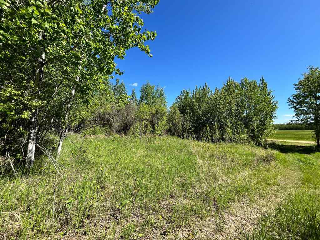 MLS® A2138860 - Lot 4 163 Range Road  in NONE Plamondon, Land