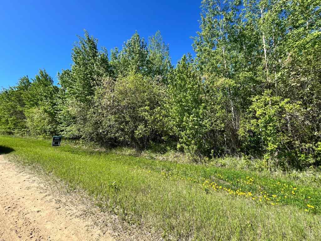 MLS® A2138860 - Lot 4 163 Range Road  in NONE Plamondon, Land