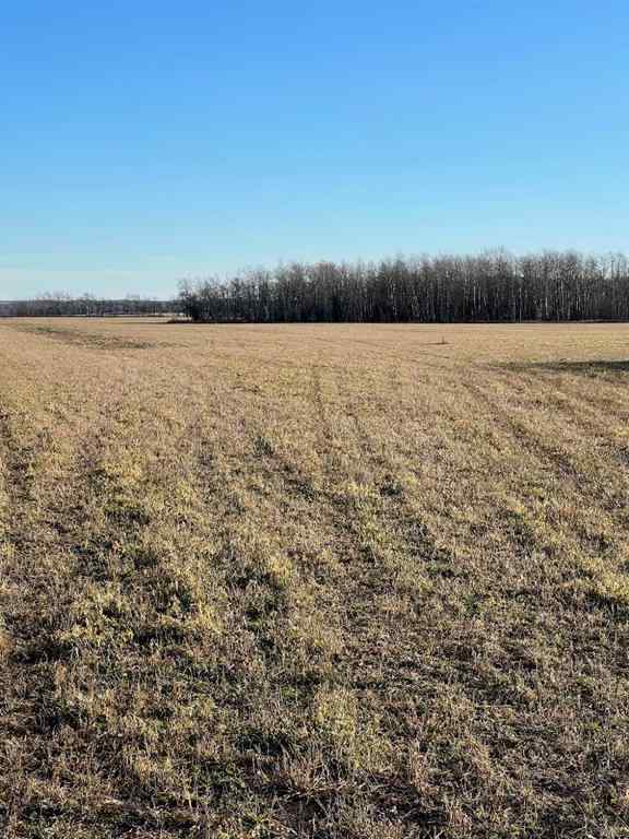 MLS® A2138941 - Pt. of NW-28-71-5-W6   in NONE Rural Grande Prairie No. 1, County of, Agri-Business