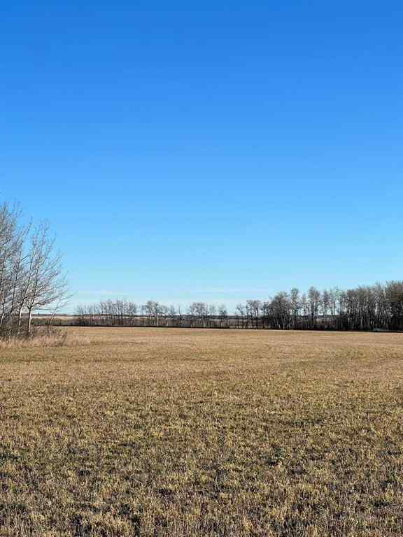 MLS® A2138941 - Pt. of NW-28-71-5-W6   in NONE Rural Grande Prairie No. 1, County of, Agri-Business