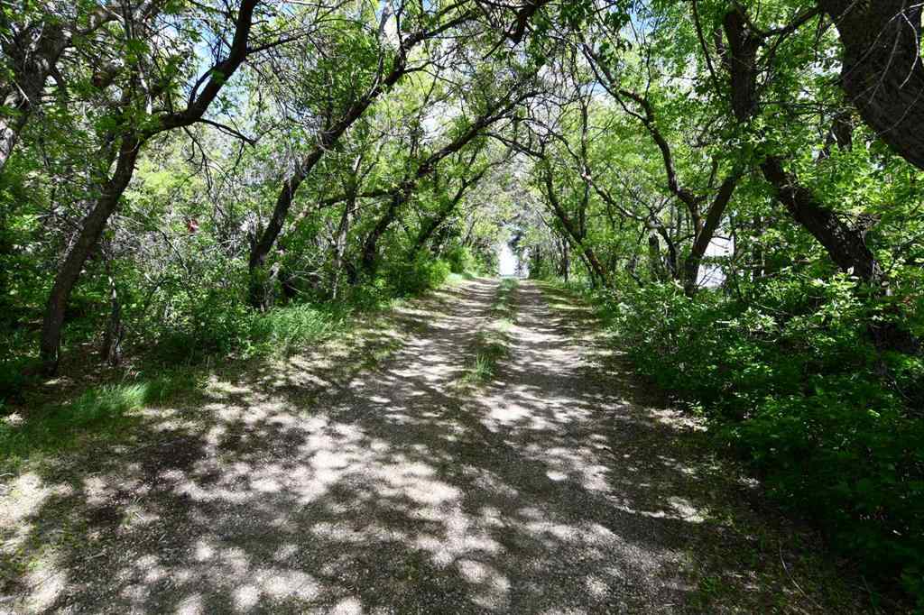 MLS® A2139251 -  415008 Range Road 82   in NONE Rural Provost No. 52, M.D. of, Agri-Business