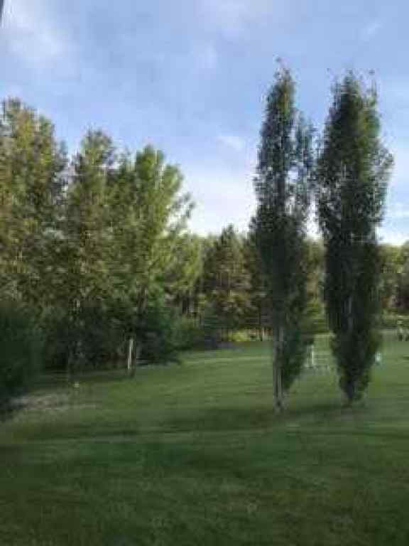 MLS® A2139884 - 25204 Township Road 364 Township  in Pine Lake West Rural Red Deer County, Commercial