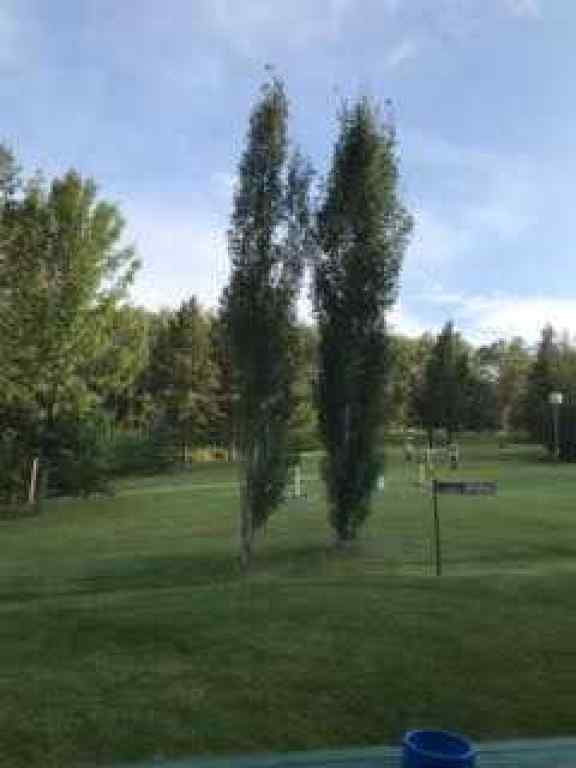 MLS® A2139884 - 25204 Township Road 364 Township  in Pine Lake West Rural Red Deer County, Commercial