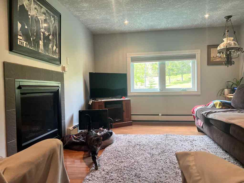 MLS® A2139884 - 25204 Township Road 364 Township  in Pine Lake West Rural Red Deer County, Commercial