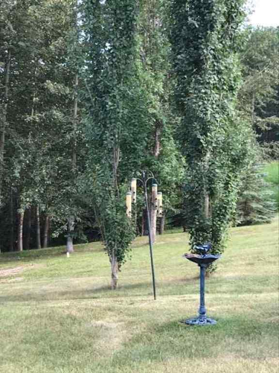 MLS® A2139884 - 25204 Township Road 364 Township  in Pine Lake West Rural Red Deer County, Commercial