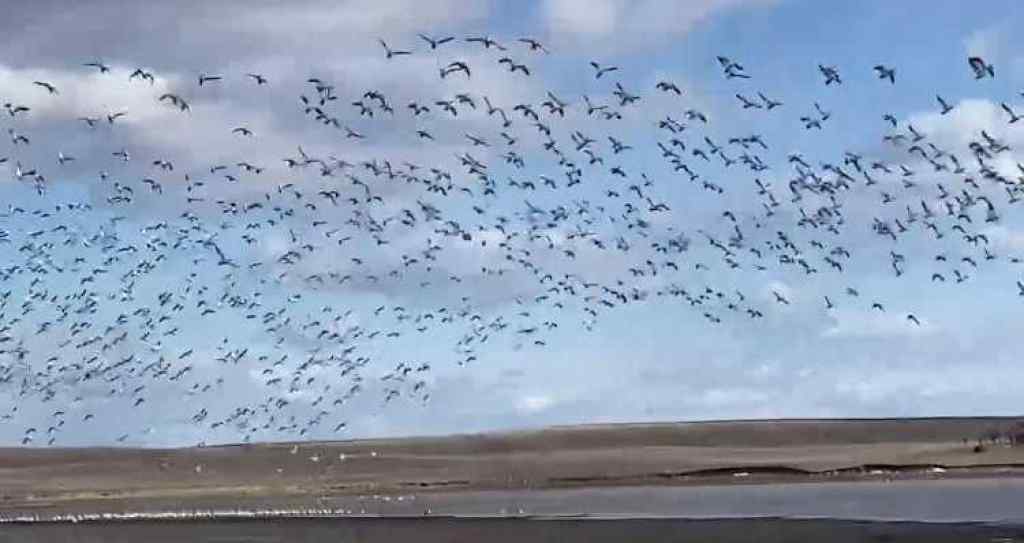 MLS® A2141886 - 253080 A & 253080 B Range Road 182   in NONE Rural Wheatland County, Residential