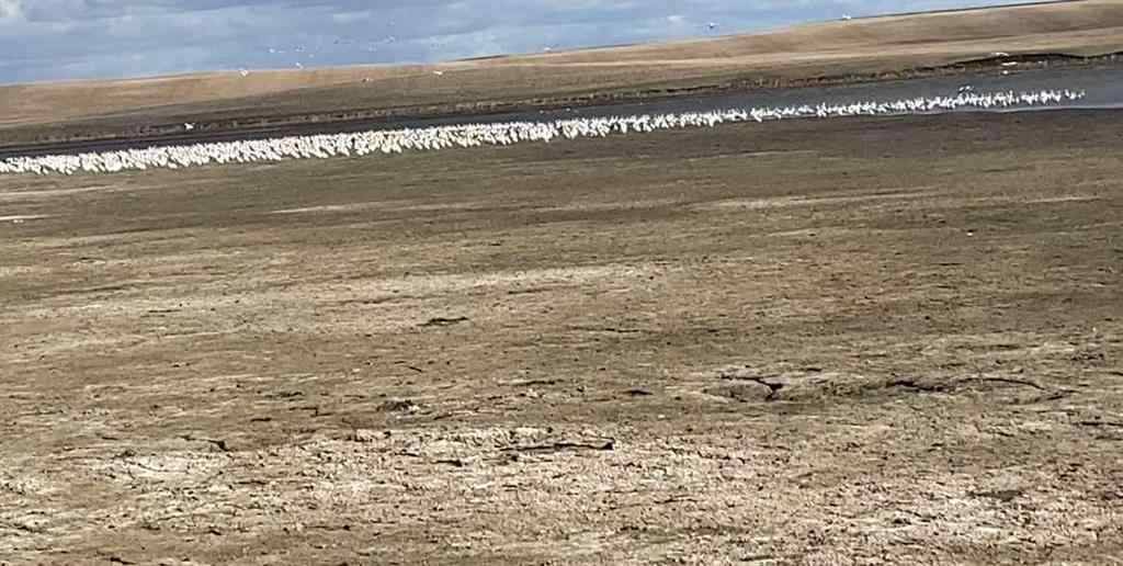 MLS® A2141886 - 253080 A & 253080 B Range Road 182   in NONE Rural Wheatland County, Residential